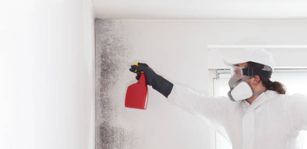 Professional Mold Remediation in Tracy, MN
